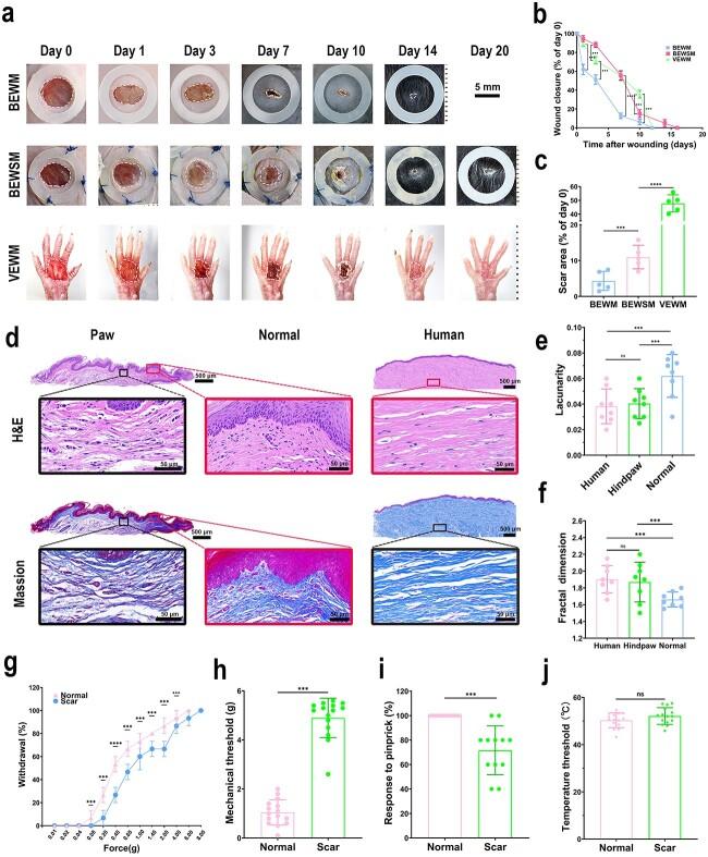 https://cdn.ncbi.nlm.nih.gov/pmc/blobs/708c/10309083/6858306e6e08/tkad027f4.jpg