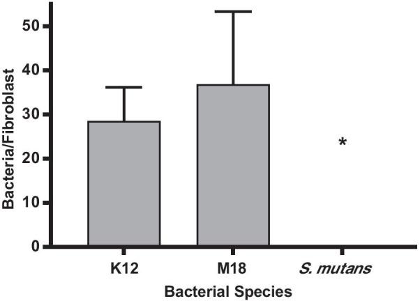 https://cdn.ncbi.nlm.nih.gov/pmc/blobs/708c/8103598/bc361dd24ed1/12903_2021_1606_Fig1_HTML.jpg