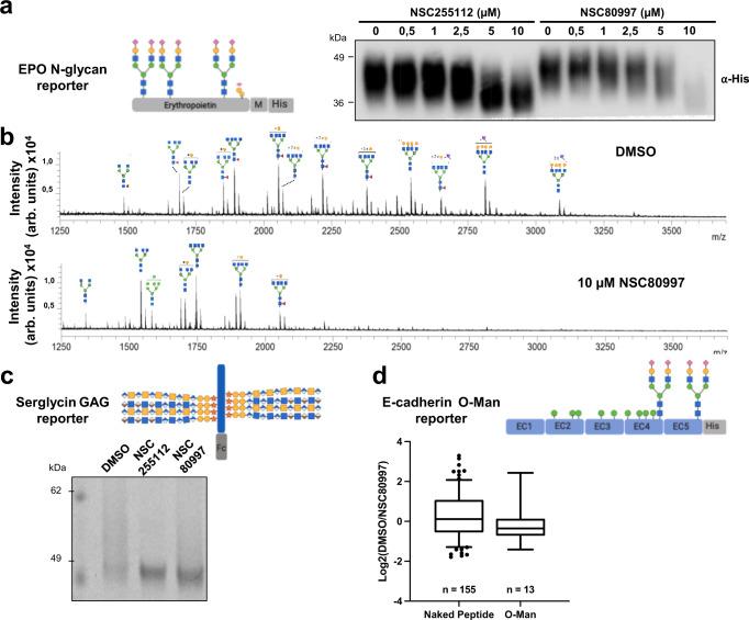 https://cdn.ncbi.nlm.nih.gov/pmc/blobs/708c/9941569/2fa458ec6500/41467_2023_36598_Fig4_HTML.jpg
