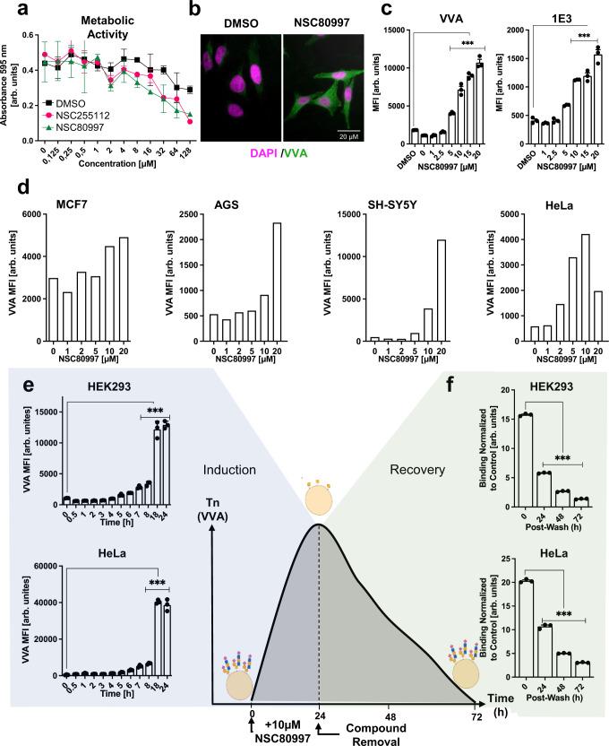 https://cdn.ncbi.nlm.nih.gov/pmc/blobs/708c/9941569/3619b2b85822/41467_2023_36598_Fig2_HTML.jpg