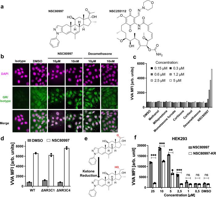 https://cdn.ncbi.nlm.nih.gov/pmc/blobs/708c/9941569/e55cfeaedb92/41467_2023_36598_Fig3_HTML.jpg