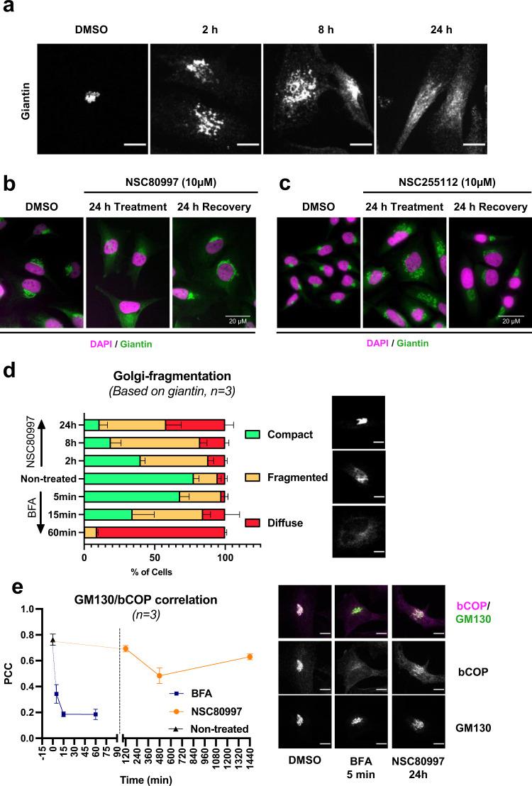 https://cdn.ncbi.nlm.nih.gov/pmc/blobs/708c/9941569/f8854b554ec4/41467_2023_36598_Fig5_HTML.jpg