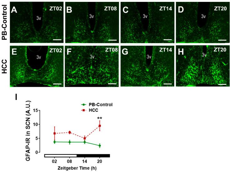 https://cdn.ncbi.nlm.nih.gov/pmc/blobs/708d/11504045/1a68b20513c0/biomedicines-12-02202-g006.jpg