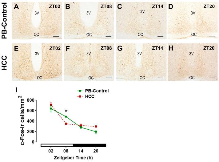 https://cdn.ncbi.nlm.nih.gov/pmc/blobs/708d/11504045/a78da1d82f11/biomedicines-12-02202-g005.jpg