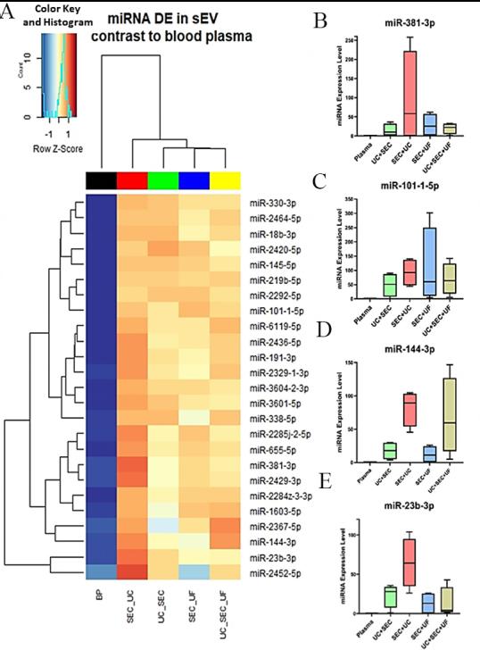 https://cdn.ncbi.nlm.nih.gov/pmc/blobs/708d/11648519/1469edb4965e/evcna-5-1-119.fig.5.jpg