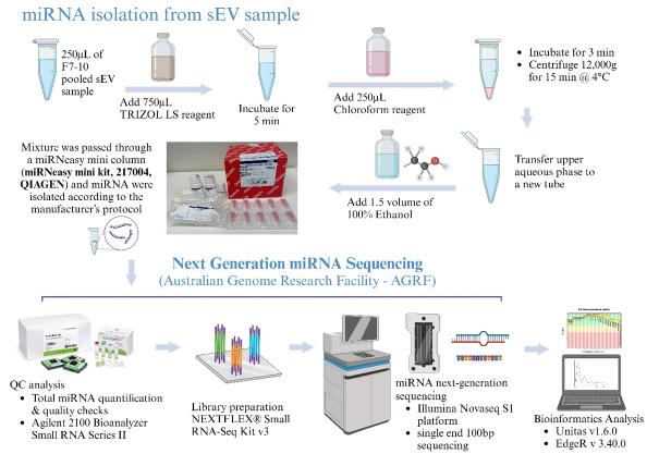 https://cdn.ncbi.nlm.nih.gov/pmc/blobs/708d/11648519/d7f74f074957/evcna-5-1-119.fig.2.jpg
