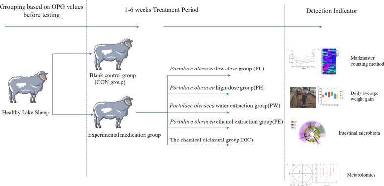 https://cdn.ncbi.nlm.nih.gov/pmc/blobs/7090/11068709/f0429c314614/13568_2024_1705_Fig1_HTML.jpg