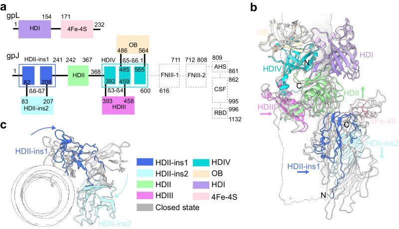 https://cdn.ncbi.nlm.nih.gov/pmc/blobs/7092/11101478/6fb1ae4808e3/41467_2024_48686_Fig4_HTML.jpg