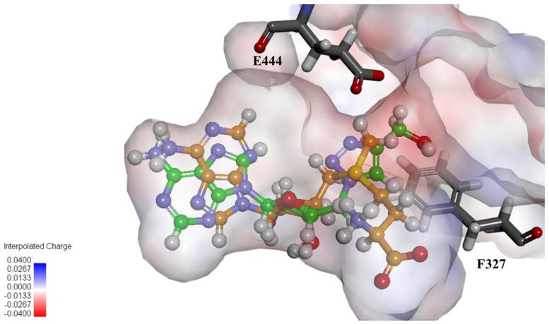 https://cdn.ncbi.nlm.nih.gov/pmc/blobs/7092/9228412/b716a3fe51c4/molecules-27-03779-g003.jpg