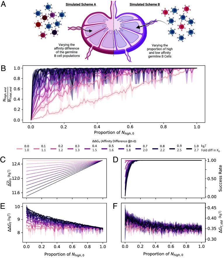https://cdn.ncbi.nlm.nih.gov/pmc/blobs/7096/11789010/cdf26985cd82/pnas.2412787122fig05.jpg