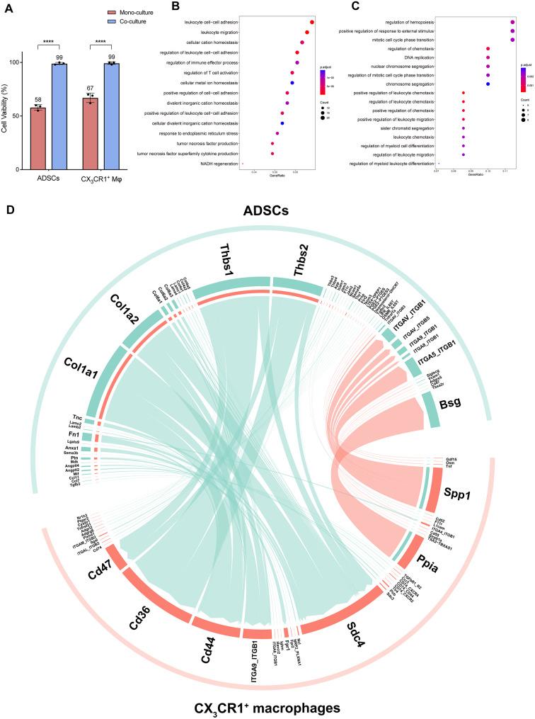 https://cdn.ncbi.nlm.nih.gov/pmc/blobs/7096/11881422/1e8cbca92df3/13287_2025_4144_Fig3_HTML.jpg