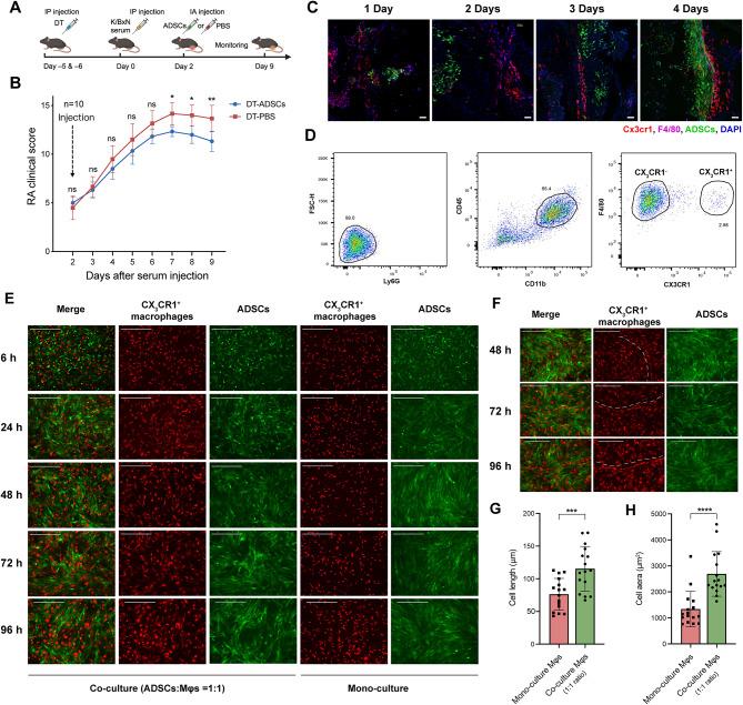 https://cdn.ncbi.nlm.nih.gov/pmc/blobs/7096/11881422/1ea8241ab349/13287_2025_4144_Fig2_HTML.jpg