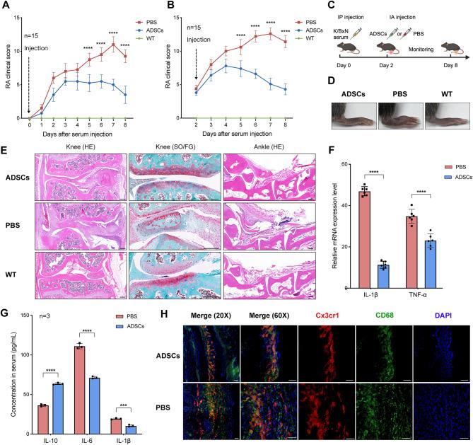 https://cdn.ncbi.nlm.nih.gov/pmc/blobs/7096/11881422/3dac59a197f6/13287_2025_4144_Fig1_HTML.jpg