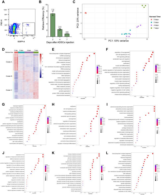 https://cdn.ncbi.nlm.nih.gov/pmc/blobs/7096/11881422/6361a7b7323b/13287_2025_4144_Fig6_HTML.jpg