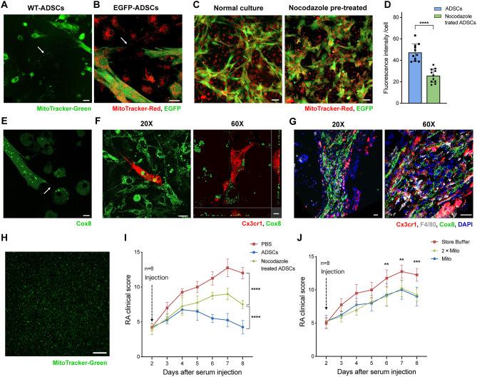 https://cdn.ncbi.nlm.nih.gov/pmc/blobs/7096/11881422/6a184687c521/13287_2025_4144_Fig5_HTML.jpg