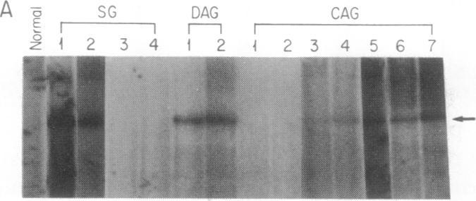 https://cdn.ncbi.nlm.nih.gov/pmc/blobs/7096/51773/8626d16e965e/pnas01061-0340-a.jpg