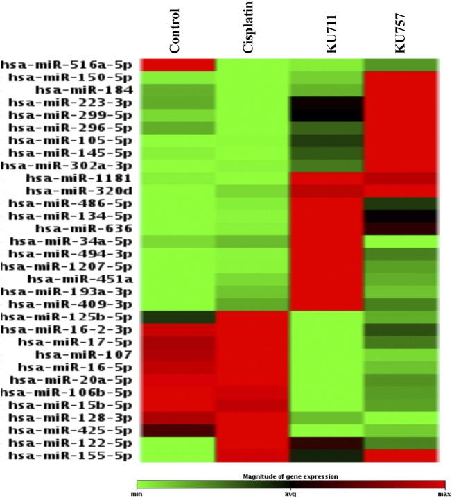 https://cdn.ncbi.nlm.nih.gov/pmc/blobs/7097/5681325/143b4fb819ca/gr5.jpg