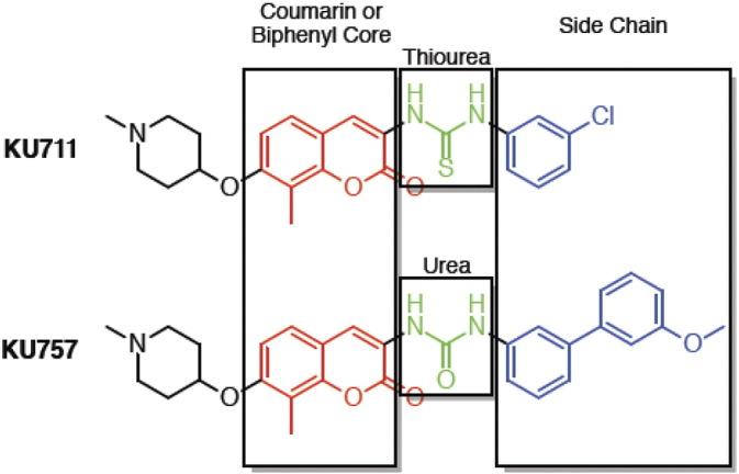 https://cdn.ncbi.nlm.nih.gov/pmc/blobs/7097/5681325/5a56f9521028/gr7.jpg