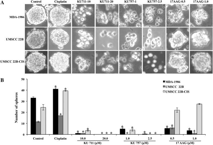 https://cdn.ncbi.nlm.nih.gov/pmc/blobs/7097/5681325/bb21c376ba78/gr1.jpg