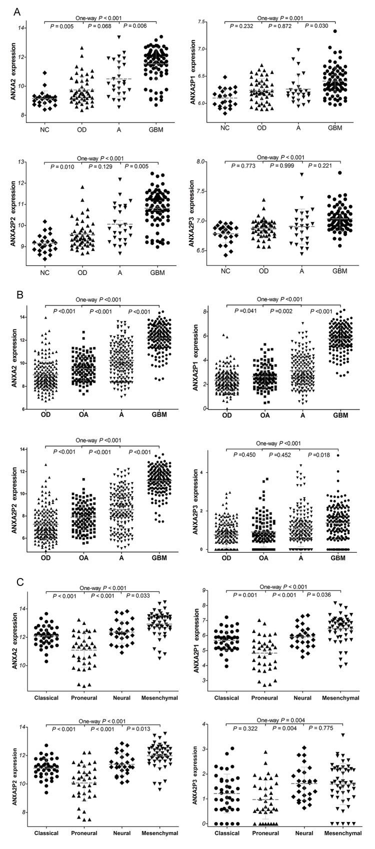 https://cdn.ncbi.nlm.nih.gov/pmc/blobs/7098/5739788/bb278057268b/oncotarget-08-106962-g002.jpg