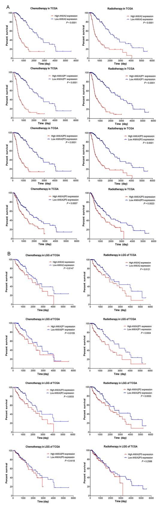 https://cdn.ncbi.nlm.nih.gov/pmc/blobs/7098/5739788/ca428aaae159/oncotarget-08-106962-g006.jpg