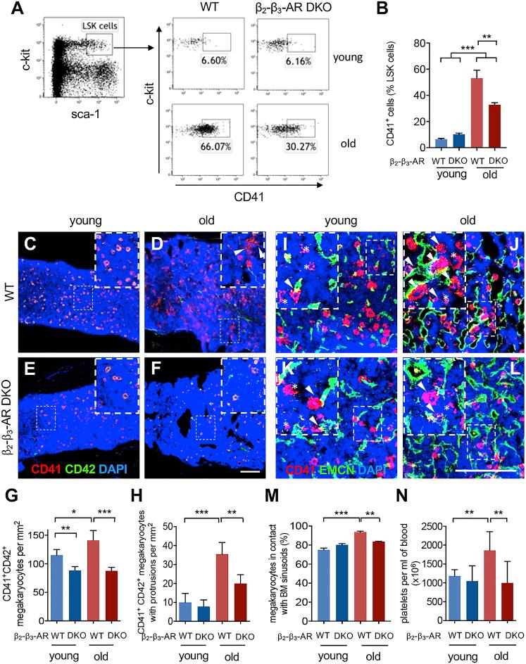 https://cdn.ncbi.nlm.nih.gov/pmc/blobs/7098/6739444/23b82e119dd6/gr3.jpg