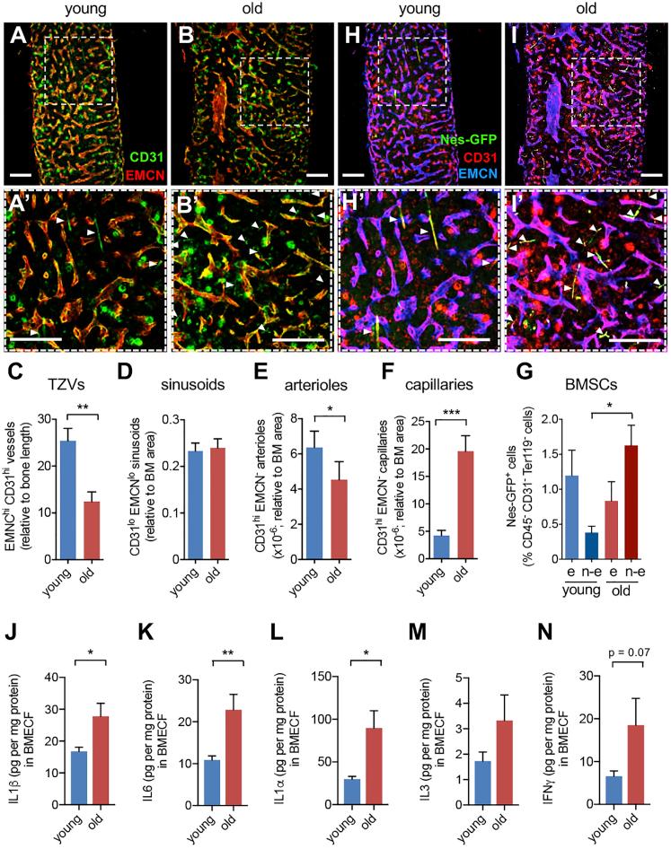 https://cdn.ncbi.nlm.nih.gov/pmc/blobs/7098/6739444/56bb20c4c4b0/gr1.jpg