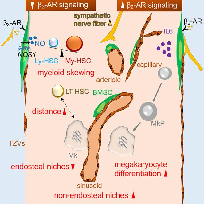 https://cdn.ncbi.nlm.nih.gov/pmc/blobs/7098/6739444/75213c99b49e/fx1.jpg
