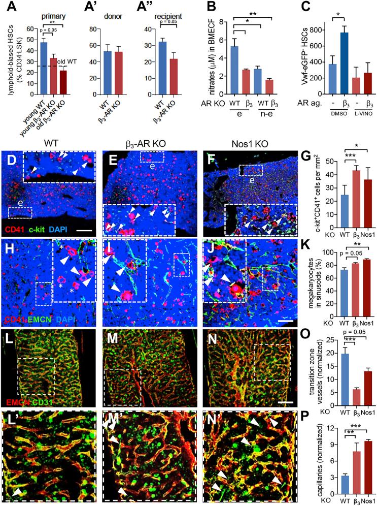 https://cdn.ncbi.nlm.nih.gov/pmc/blobs/7098/6739444/8306f02153e0/gr5.jpg