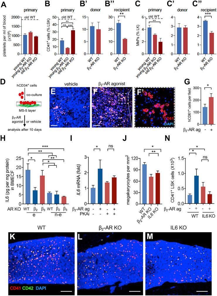 https://cdn.ncbi.nlm.nih.gov/pmc/blobs/7098/6739444/dffbd1356554/gr4.jpg