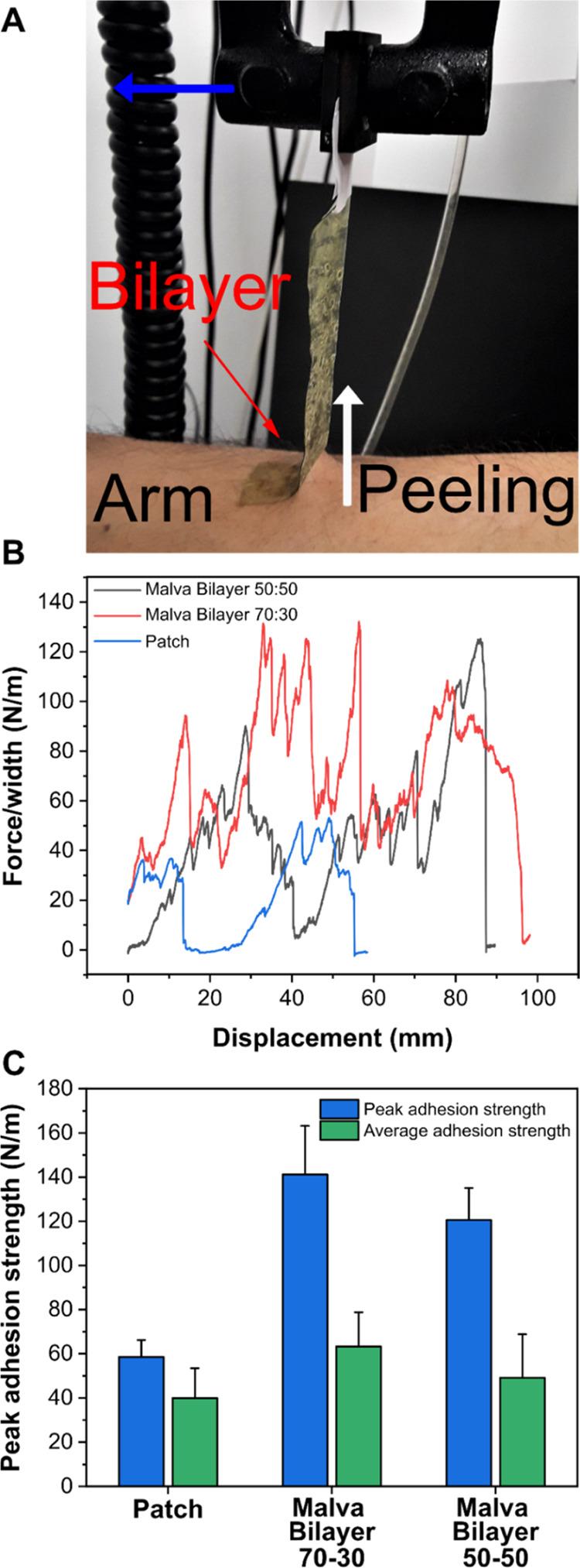 https://cdn.ncbi.nlm.nih.gov/pmc/blobs/7099/9214765/99da14f7c82f/mt2c00254_0005.jpg