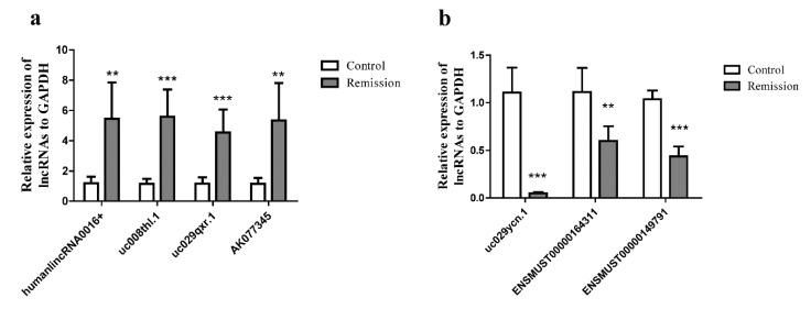 https://cdn.ncbi.nlm.nih.gov/pmc/blobs/709a/6214145/210774449acb/ijms-19-03263-g008.jpg