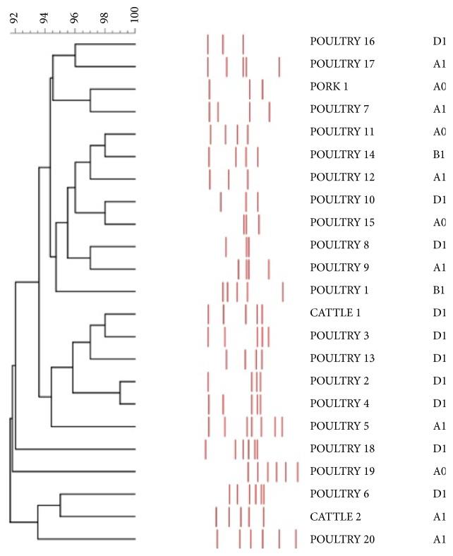 https://cdn.ncbi.nlm.nih.gov/pmc/blobs/709b/6276482/38a4e01c4f41/BMRI2018-8714975.003.jpg