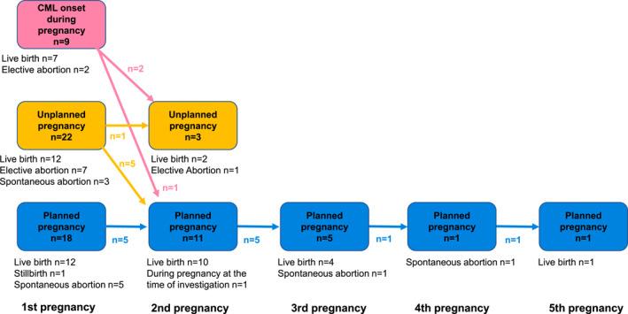 https://cdn.ncbi.nlm.nih.gov/pmc/blobs/709c/11694238/62572b3340cc/CNCR-131-0-g002.jpg