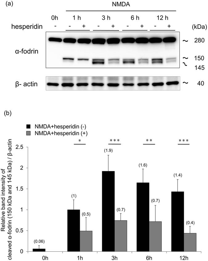 https://cdn.ncbi.nlm.nih.gov/pmc/blobs/709c/5537259/2befa2756372/41598_2017_6969_Fig6_HTML.jpg