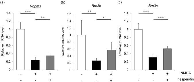 https://cdn.ncbi.nlm.nih.gov/pmc/blobs/709c/5537259/bc9bf7d3f3e6/41598_2017_6969_Fig2_HTML.jpg