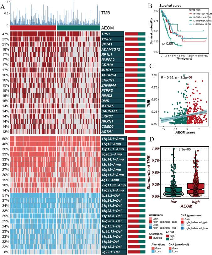 https://cdn.ncbi.nlm.nih.gov/pmc/blobs/70a2/11413261/26b2f4dc579e/12672_2024_1293_Fig5_HTML.jpg
