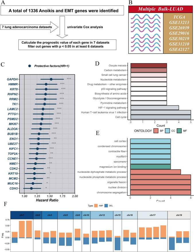 https://cdn.ncbi.nlm.nih.gov/pmc/blobs/70a2/11413261/8a054ed95d1b/12672_2024_1293_Fig1_HTML.jpg