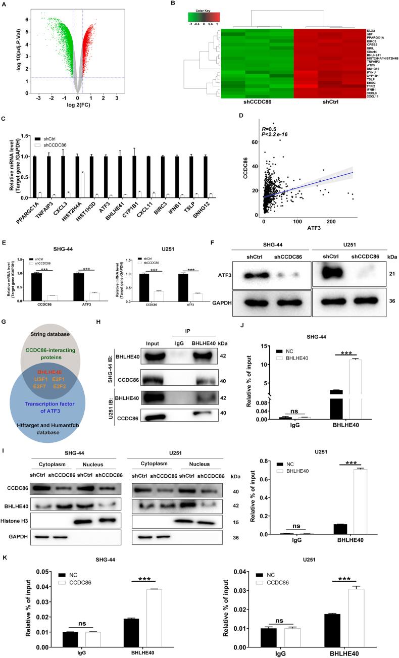 https://cdn.ncbi.nlm.nih.gov/pmc/blobs/70a5/12361992/45d1886515ee/gr3.jpg