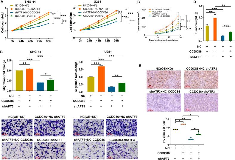 https://cdn.ncbi.nlm.nih.gov/pmc/blobs/70a5/12361992/b83f01e51a31/gr4.jpg