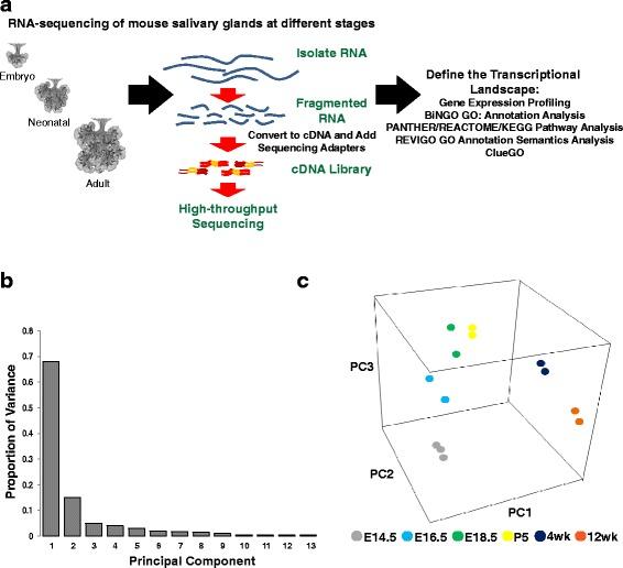 https://cdn.ncbi.nlm.nih.gov/pmc/blobs/70a7/5112738/eccfd7a90f9d/12864_2016_3228_Fig1_HTML.jpg