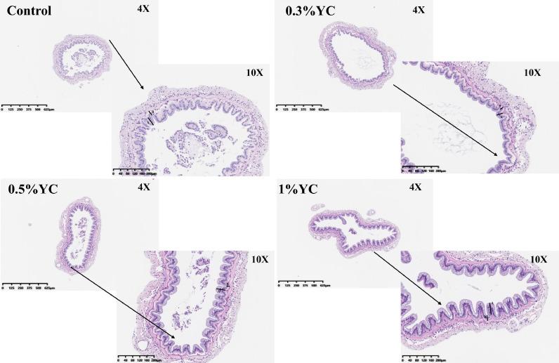 https://cdn.ncbi.nlm.nih.gov/pmc/blobs/70a7/9680107/0c2fef6cad48/gr1.jpg