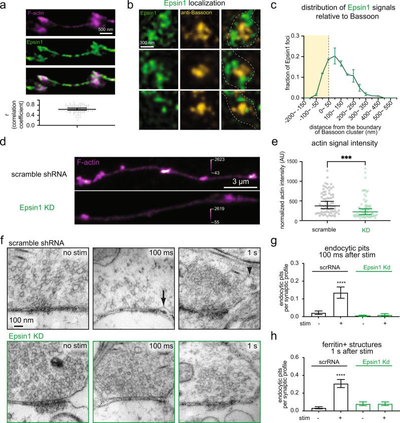 https://cdn.ncbi.nlm.nih.gov/pmc/blobs/70a8/10199930/2302428e785d/41467_2023_38595_Fig4_HTML.jpg