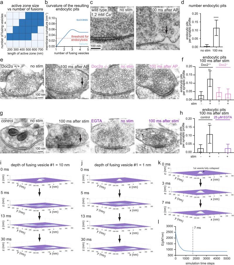 https://cdn.ncbi.nlm.nih.gov/pmc/blobs/70a8/10199930/9f6955b63299/41467_2023_38595_Fig3_HTML.jpg