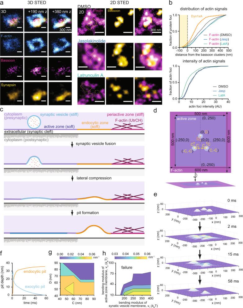 https://cdn.ncbi.nlm.nih.gov/pmc/blobs/70a8/10199930/c23ccb5ba060/41467_2023_38595_Fig1_HTML.jpg