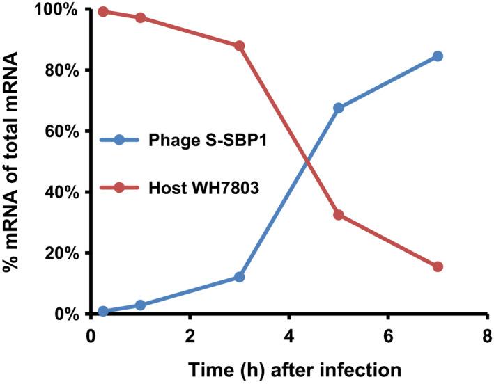 https://cdn.ncbi.nlm.nih.gov/pmc/blobs/70a9/7885011/92d7f7499377/MBO3-10-e1150-g004.jpg