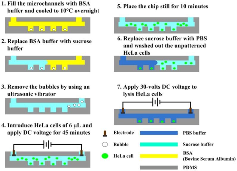 https://cdn.ncbi.nlm.nih.gov/pmc/blobs/70aa/3435960/e4117b005072/sensors-12-06967f2.jpg
