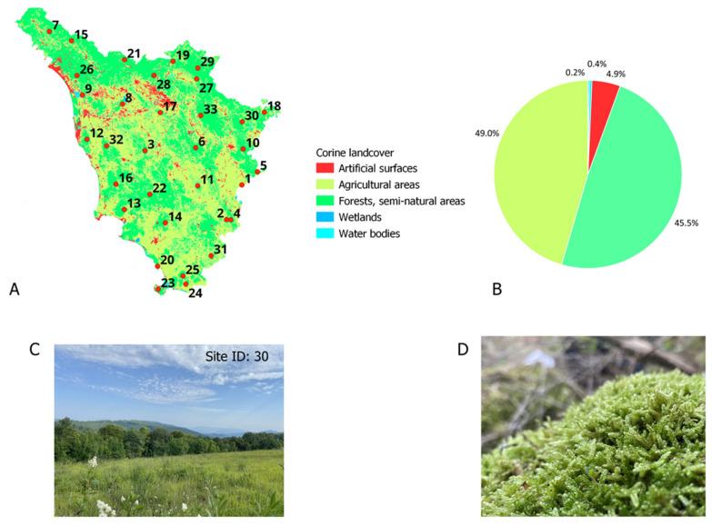 https://cdn.ncbi.nlm.nih.gov/pmc/blobs/70ae/11991018/1f828e944d01/plants-14-01114-g004.jpg
