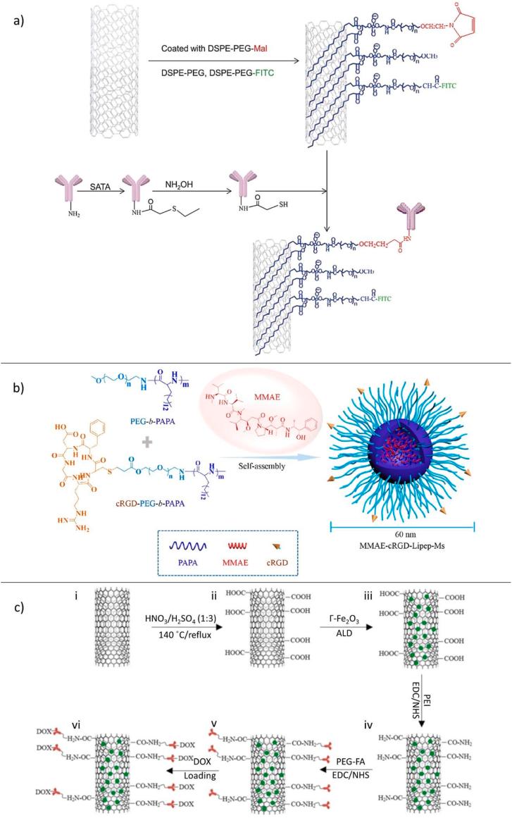 https://cdn.ncbi.nlm.nih.gov/pmc/blobs/70af/9189039/726d7cf9d6fe/gr5.jpg