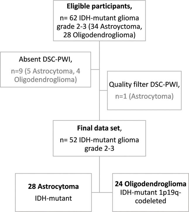 https://cdn.ncbi.nlm.nih.gov/pmc/blobs/70b2/11255054/69256946df0f/330_2024_10611_Fig1_HTML.jpg